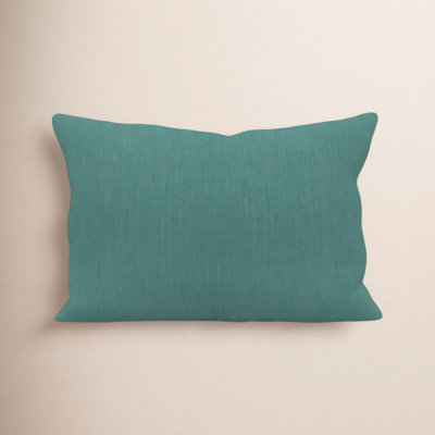 Amala 20" x 3" Sunbrella® Throw Pillow