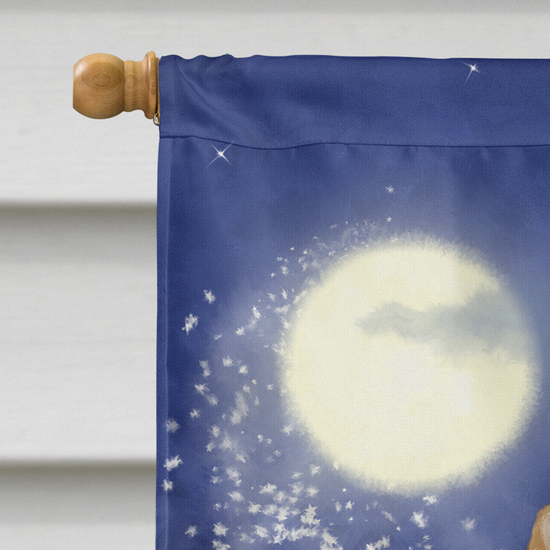 Drapeau de Noël Arnfrith, H 28 po x l 40 po