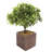 11 " H Faux Bonsai Tree