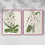 Impression encadrée Flore Albo I-Premium - prête à être accrochée - aucun clou requis - aucun clou requis-708635325-708635327
