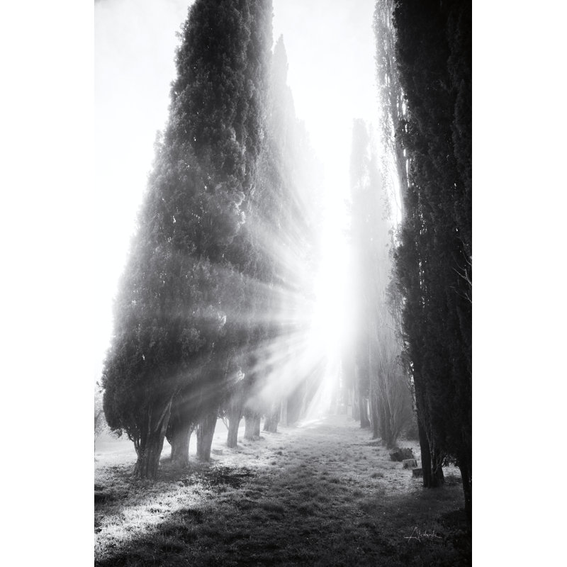 Rays of Morning - impression, H 30 po x l 20 po x P 1,25 po, Toile avec cadre doré, Non