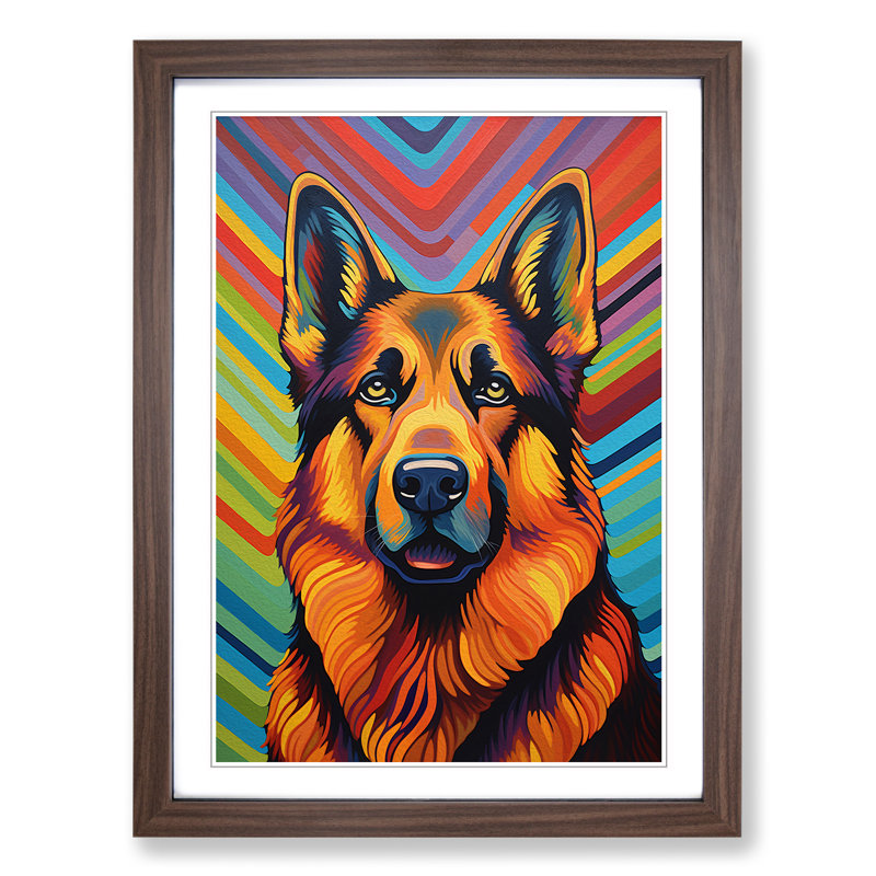 German Shepherd Op - Framed Print, Walnut Framed, 34cm H x 25cm W x 3cm D