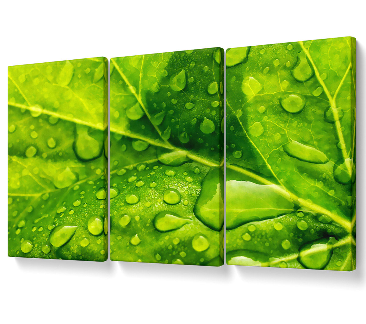 Ebern Designs Dewdrop Leaves - 3 Piece Wrapped Canvas Graphic Art ...