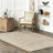 Helton Farmhouse Jute and Cotton Area Rug-1686163053