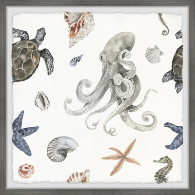 Weitzman Sea Animals A by Marmont Hill - Single Picture Frame Painting