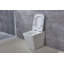 Toilette allongée murale à double chasse avec chasse à haute efficacité (siège inclus)