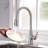 Topcraft Pull Down Single Handle Kitchen Faucet