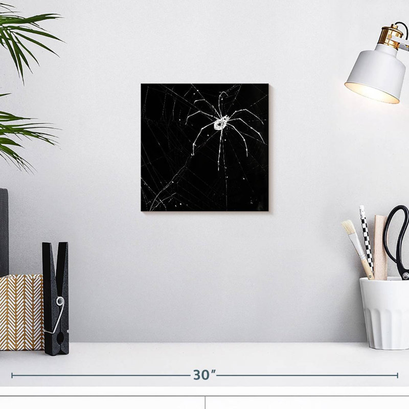 Araignée Brampt d'Halloween, H 10 po x l 10 po