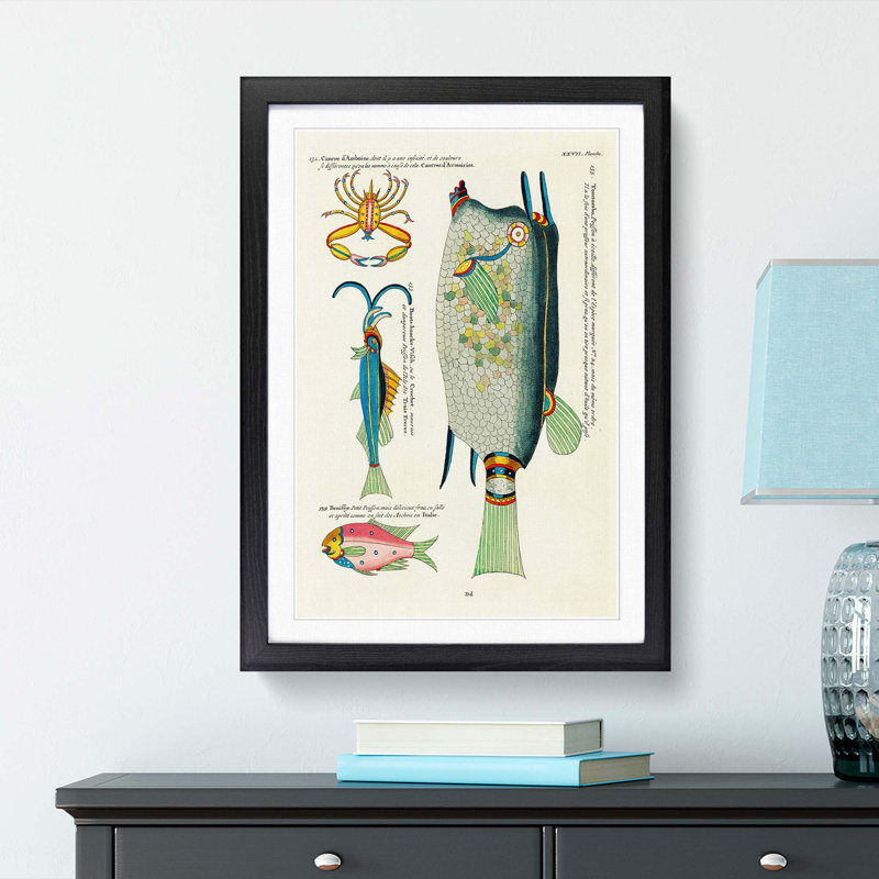 East Indies Fish & Crab Illustrations XXVII by Louis Renard - Picture Frame Painting Print, 48cm H x 36cm W x 2cm D