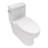 Ceramic One Piece Toilet