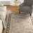 Petronella Viscose Oriental Rug in Gray/Black-19261744