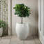 Olwen Concrete Pot Planter
