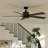 Lucian II 60'' Ceiling Fan