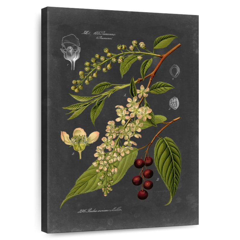 Keiri Midnight Botanical II, 39" H x 26" W
