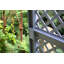 140cm H x 100cm W Plastic Expanding Trellis-49301768