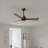 Alessandra 42'' Ceiling Fan-1421734437-1421734360