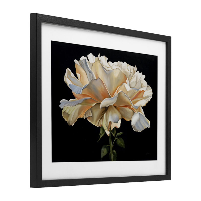 Delicate Carnation Petals over Black Framed Print Under Glass, design by Liz Jardine, 13" H x 16" W, Midnight Black Frame