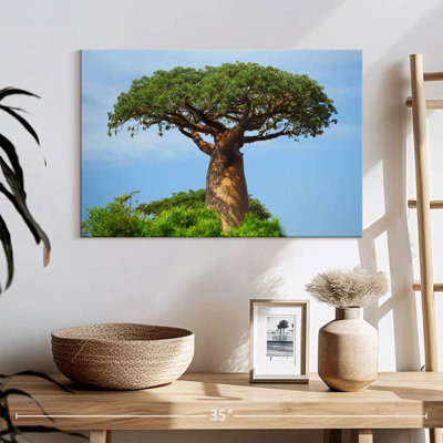 Baobab africain