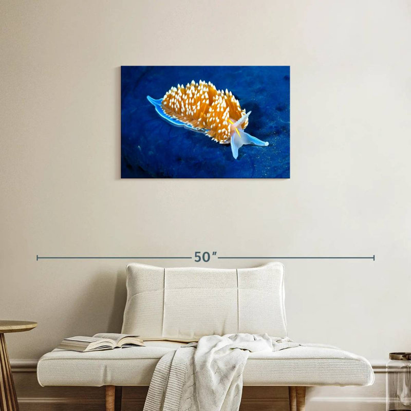 Crowle Glowing Nudibranch, 20" H x 30" W