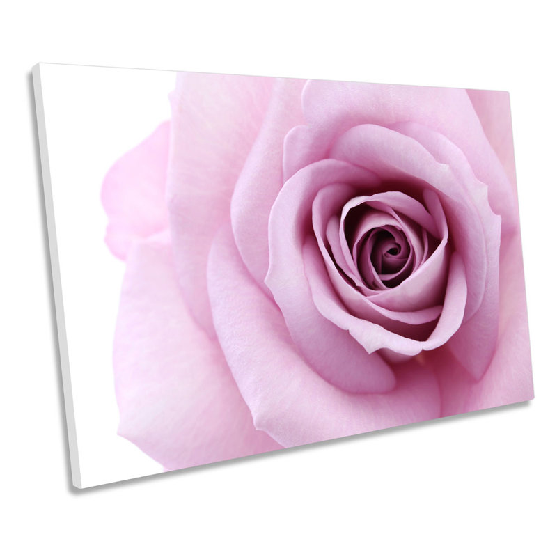 Plum Pink Rose Flower - Wrapped Canvas Print, 61cm H x 91.4cm W