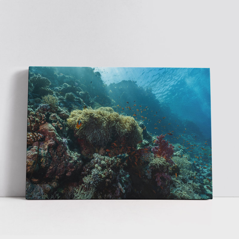 Clownfish Swimming over a Coral Reef, 12" H x 18" W