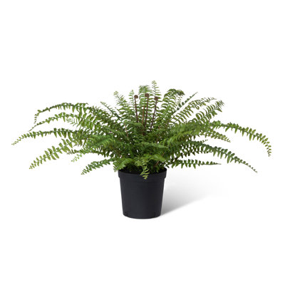 28'' Faux Fern Plant in Pot