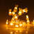 Neneh Outdoor 20 - Bulb 78.74'' Battery Powered Novelty String Light