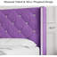 Upholstered Bed Frame With Diamond Tufted Headboard, Modern Wingback, No Box Spring Needed-1609259413-1609259415