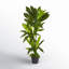 Faux Plant in Pot Liner-991881708
