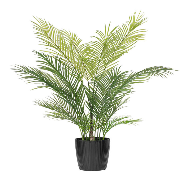 50 plantes