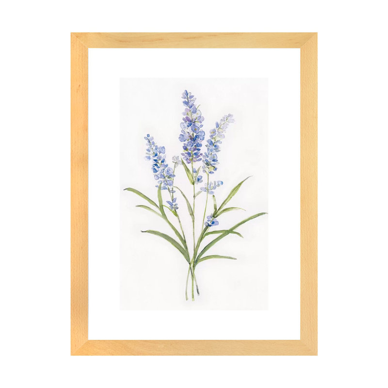 D lavande botanique par Sally Swatland - reproduction d'art, Natural Wood Paper, Blanc, H 32 po x l 24 po x P 1 po