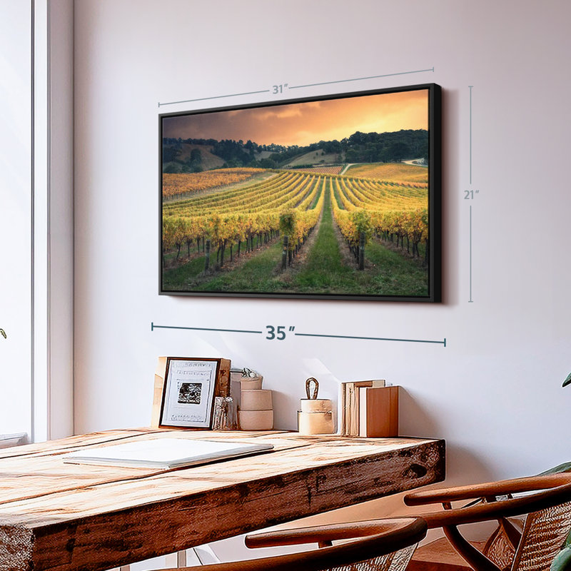 Impression sur toile Golden Golden Vineyard, H 21 po x l 31 po