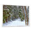 «Winter Forest», reproduction d'art sur toile, route enneigée dans la forêt-984435568-984435554-984435561
