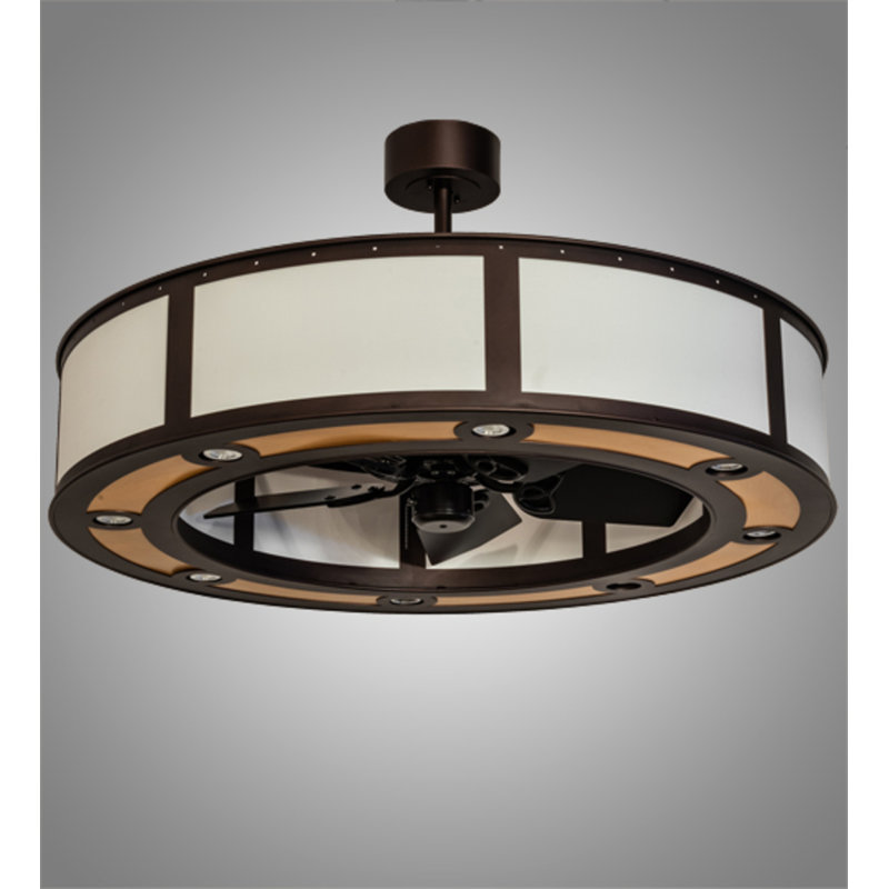Damiyan 30'' Ceiling Fan with LED Lights