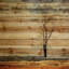«Landscape & Nature Tree Stands Alone» par Parvez Taj - impression sur bois-1477492660