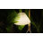 Cubillos 65.35'' Novelty Floor Lamp-197680885