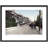 Haywards Heath, South Road C1950 by Francis Frith - Single Picture Frame Print-51297511
