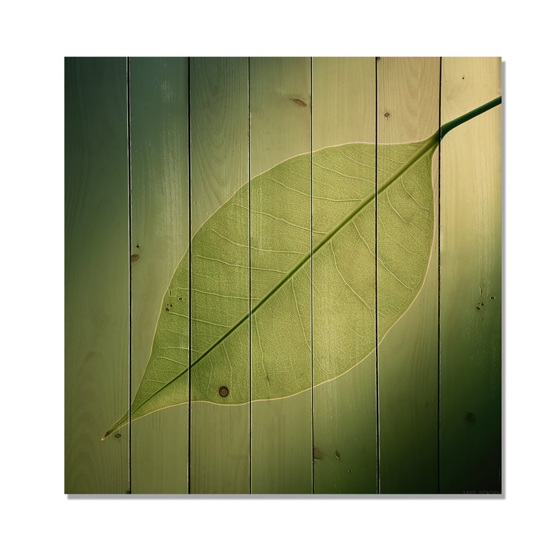 Lime, légèreté, feuille, minimalisme I - feuilles, art mural sur bois de pin naturel, H 30 po x l 30 po