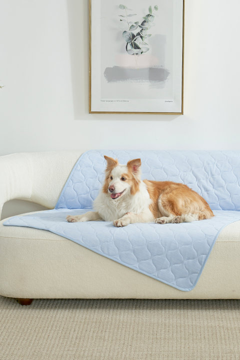 Pet Blanket