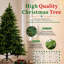 Christmas Tree-1353316423