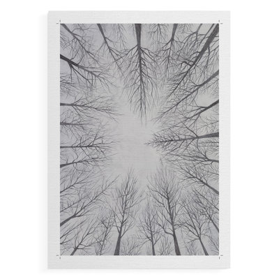 Deciduous Canopy I -Canvas Print Only - NOT FRAMED