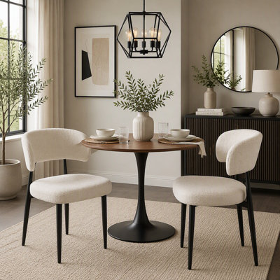 Modern Dining Chairs Set of 2