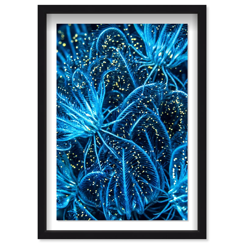 Neon garden Shadowbox Abstract Print by Oliver Gal, Black Frame, 10 x 15, 25.5"H x 17.5"W, Black Shadowbox