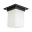 Mineral 8-in Brass Flush Mount-785681975-785681972