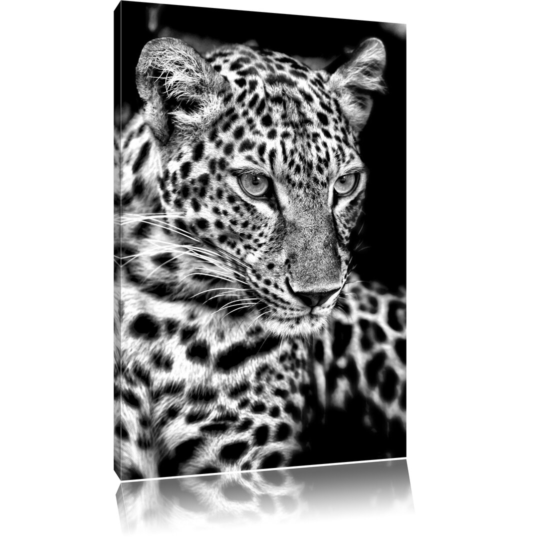 Leinwandbild Leopard mit blauen Augen in Monochrom