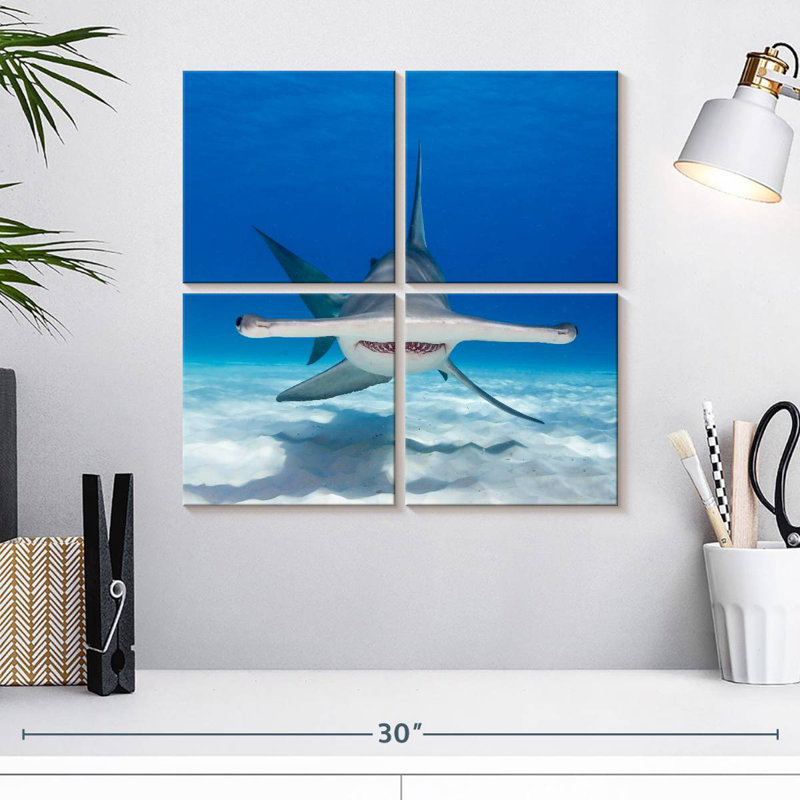 Brampt Hammerhead Shark Swimming, 18" H x 18" W