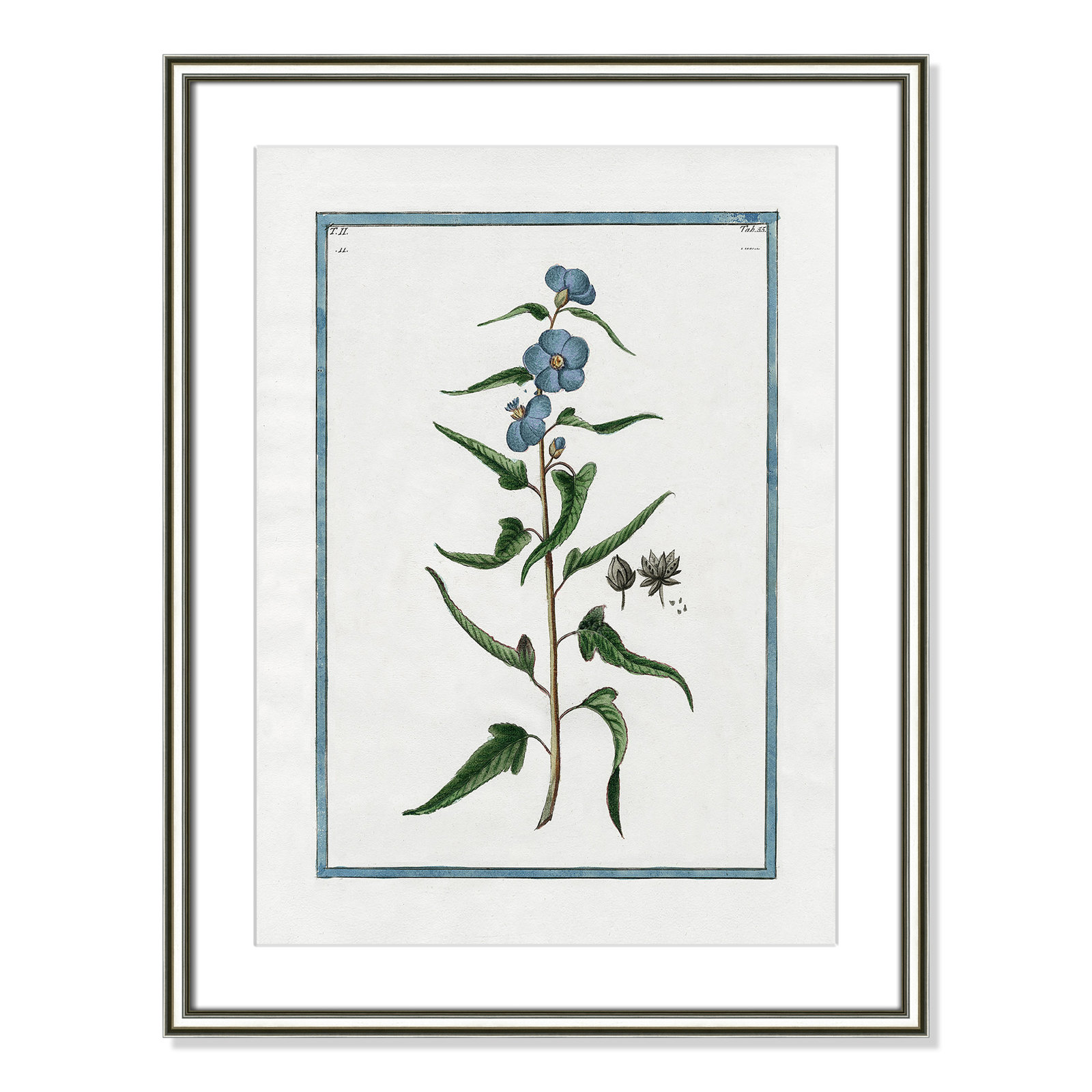 Colombe "Shabby Elegance Botanical I" Print, 18.25" W x 24.25" H, Silver Framed