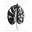 Impression de Philodendron à feuilles divisées - décor floral noir encadré