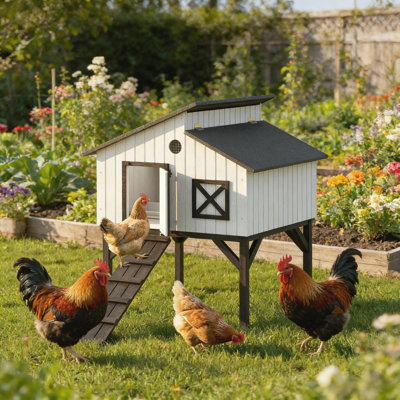 Maison pour animaux de compagnie, poulailler, poulailler surélevé, poulailler