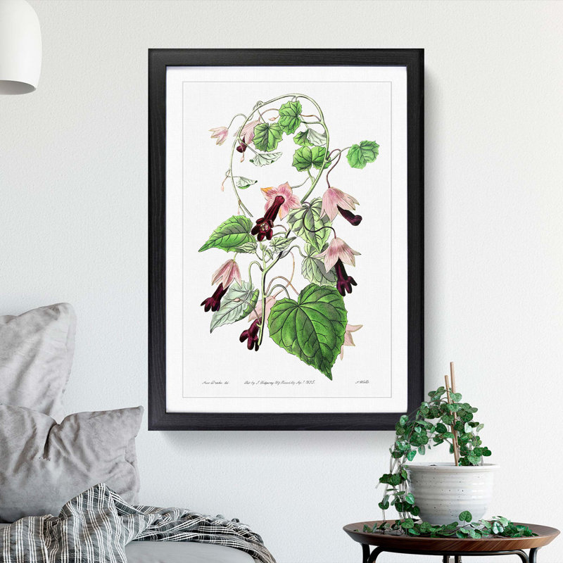 Purple Bell Vine Flowers - Framed Print, 36cm H x 27cm W x 2cm D, Black Framed